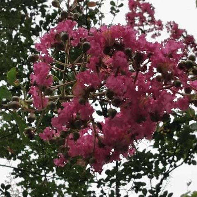春眠、秋眠…
