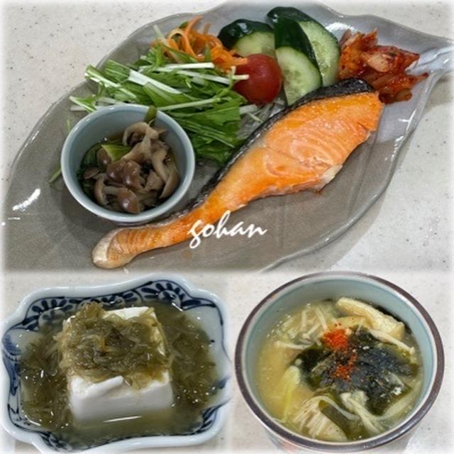 5/6(火)  焼き塩鮭