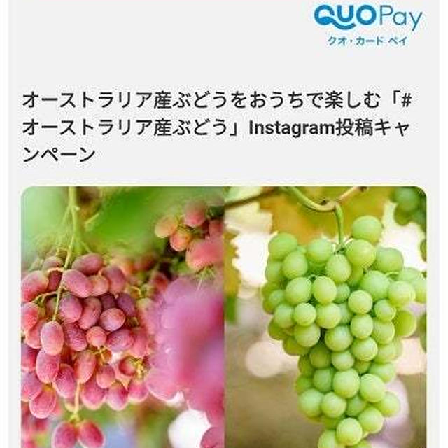 ピエのおかげで当選&キウイブラザーズのペアぬいぐるみが当たるキャンペーン