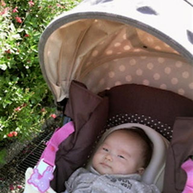 お散歩デビュー☆