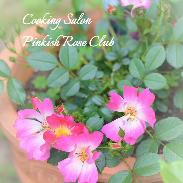 【料理教室】Pinkish Rose Club『１月の開催内容と募集要項』バレンタインスペシャル