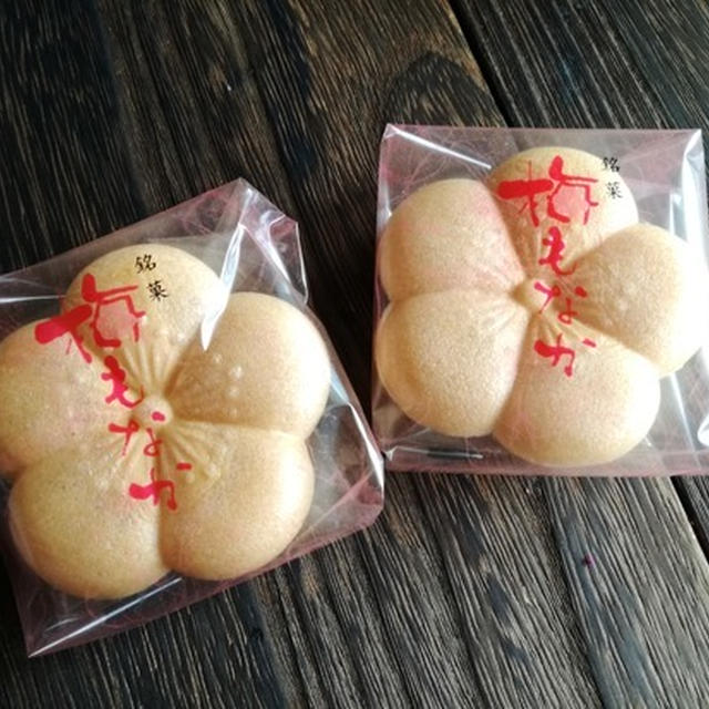 今日のあんこ#18　梅の形もかわいい福菱の梅もなか【和歌山県】