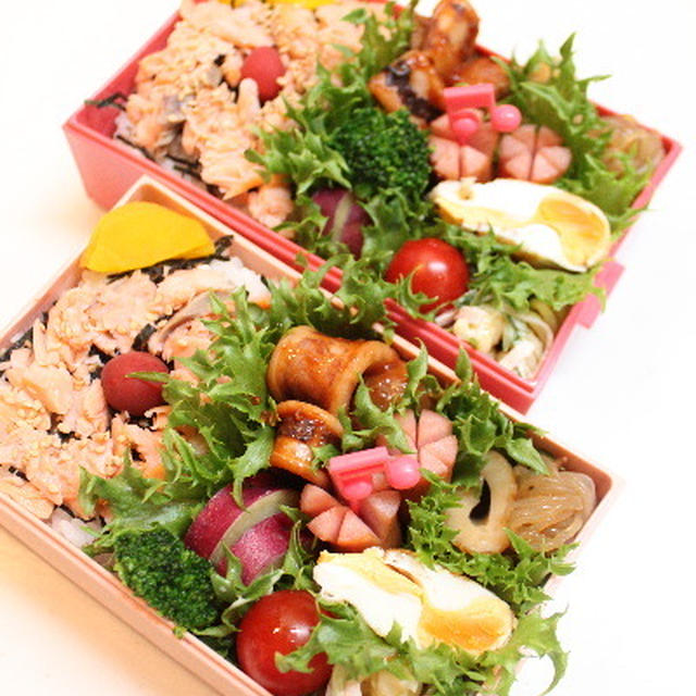 鮭ご飯とイカチャップ弁当