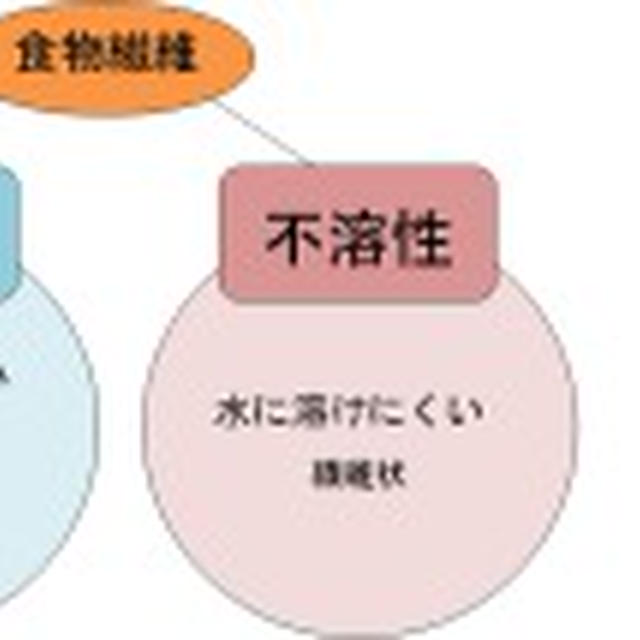 ◯【薬学×栄養学】コラム連載二回目更新しました*◯