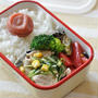 夏向けサッパリ☆作りおきおかずめヘルシー節約弁当