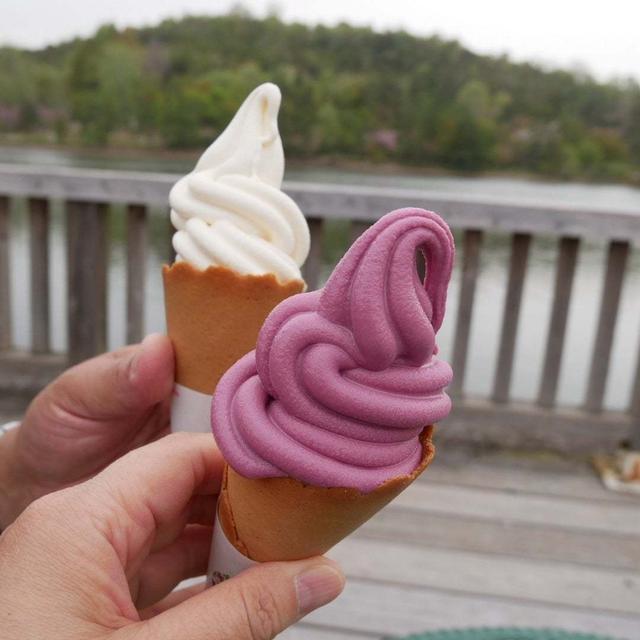 兵庫県フラワーセンターのおやつ#今日のおやつはこれ