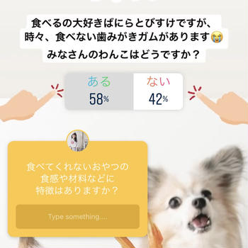 犬ごはん先生 いちかわあやこさんのmyレシピブック レシピブログ 料理ブログのレシピ満載