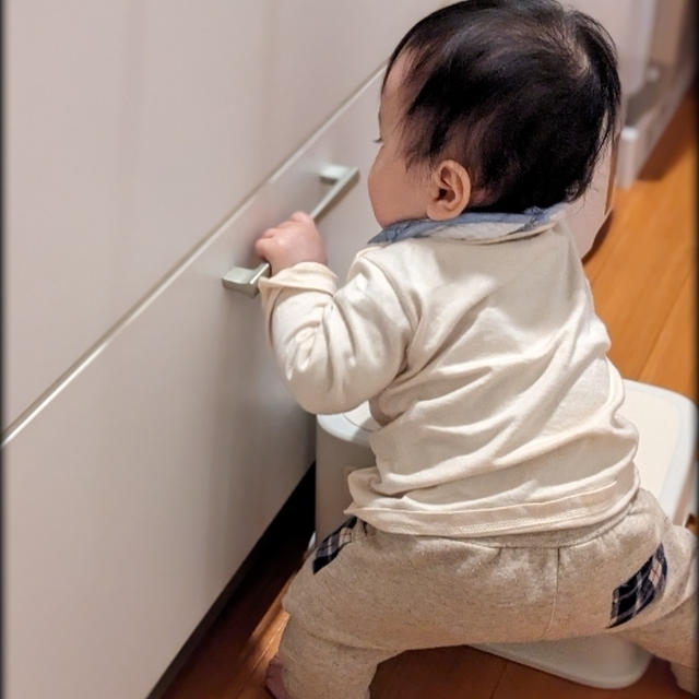 8ヶ月のおちびちゃん
