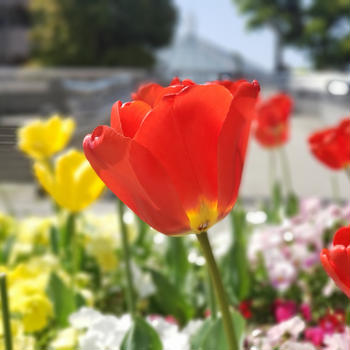 新年度が始まりましたね！