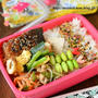 毎朝ちゃんと起きれるかハラハラしつつ作った、最近の姉さん弁当。