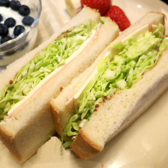 沼サンドの朝食　と　クリスマスローズいろいろ♪　　