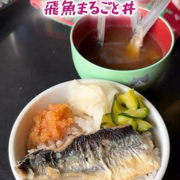 とびっ子トビウオ丼