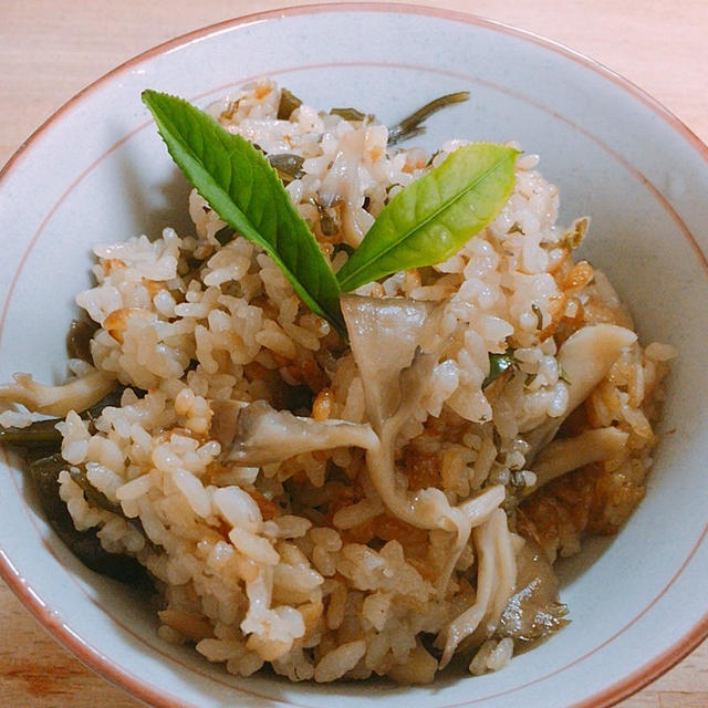 【今が旬】新茶を使った炊き込みご飯と新茶の魅力！