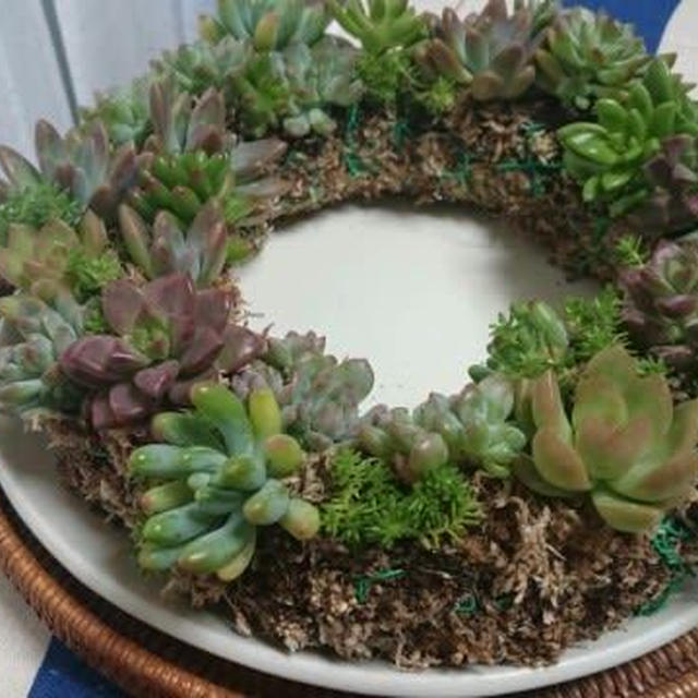多肉植物講習会
