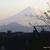 借景☆｡*　　（１１/２７）