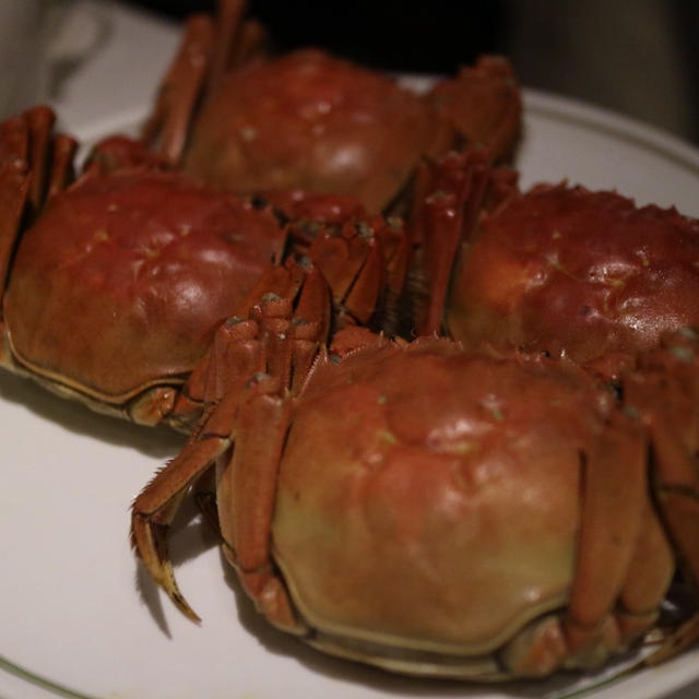 今が旬な上海蟹の食べ比べ♬ 後編