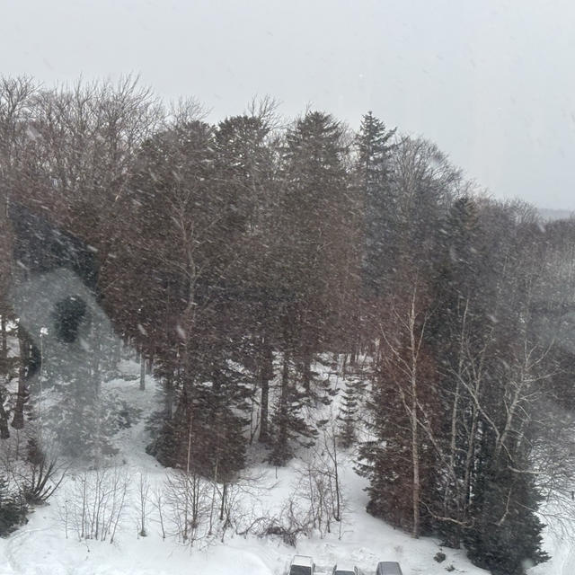 お歳暮ミステリーの旅　?摩周湖　カムイテラス