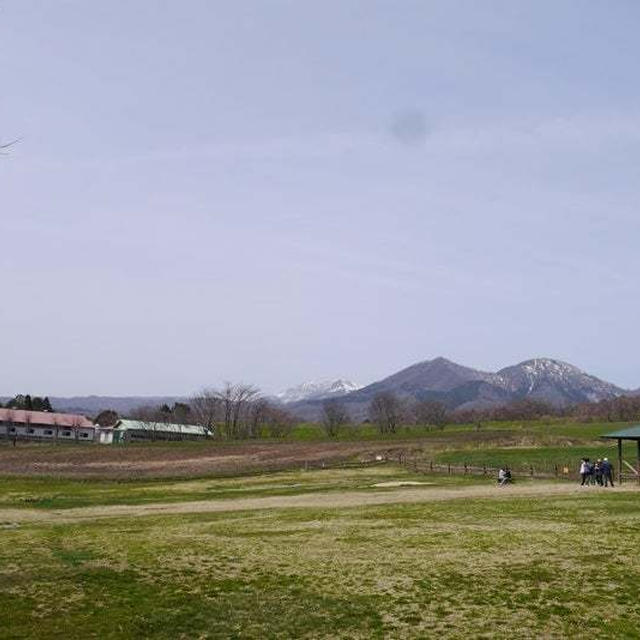 みんなで帰省（島根）。