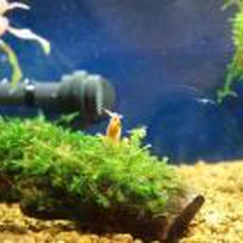 やっと・・・