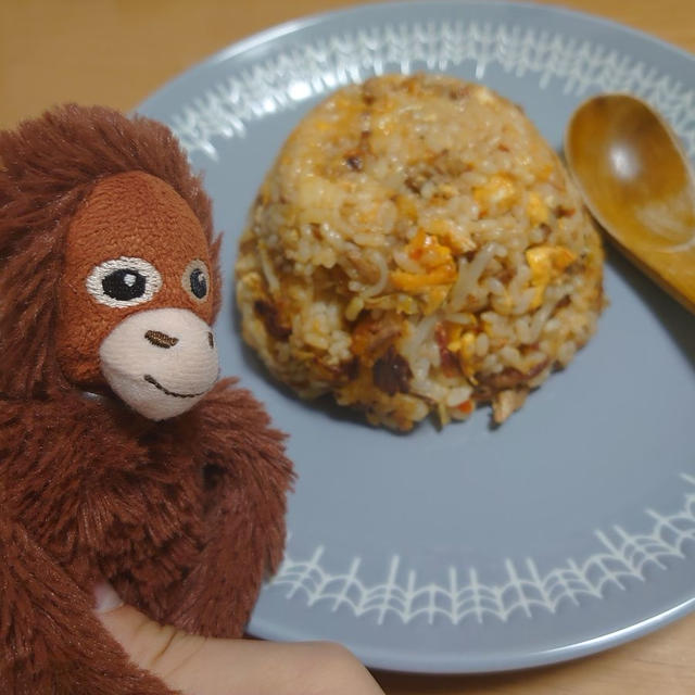 猿のエサ■リュウジ先生の「バキバキもやしの味噌炒飯」を作ってみた。