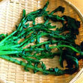 大根の葉の漬物