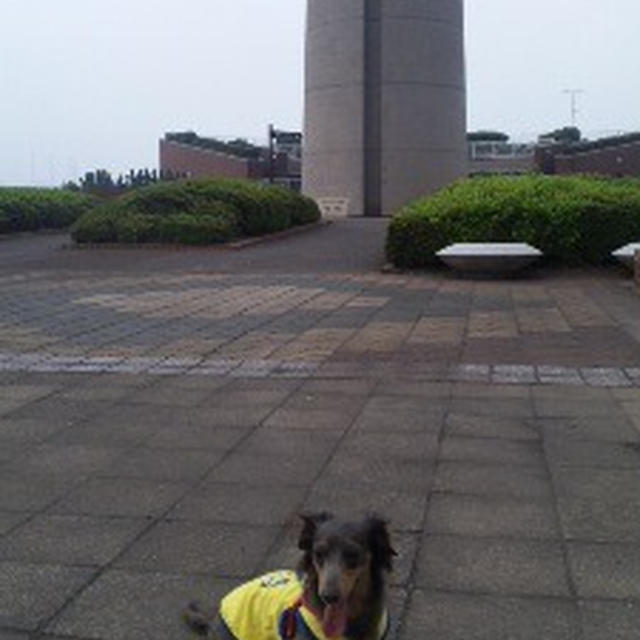 ごちそうエビフライ～♪　　港公園　再開！！