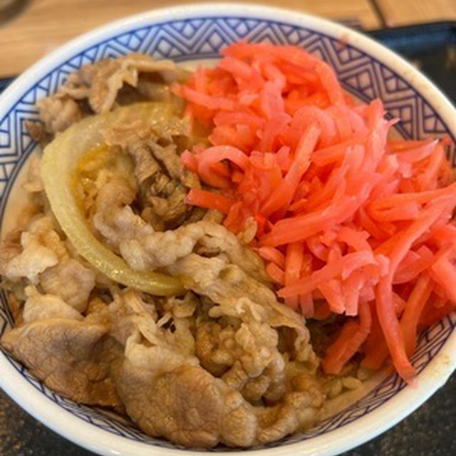デブってるのに無性に食いたくて「吉野家」へ