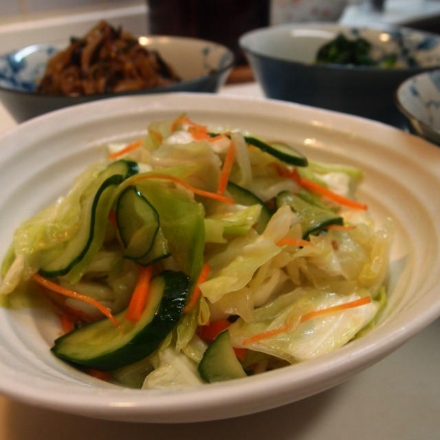 お野菜づくし