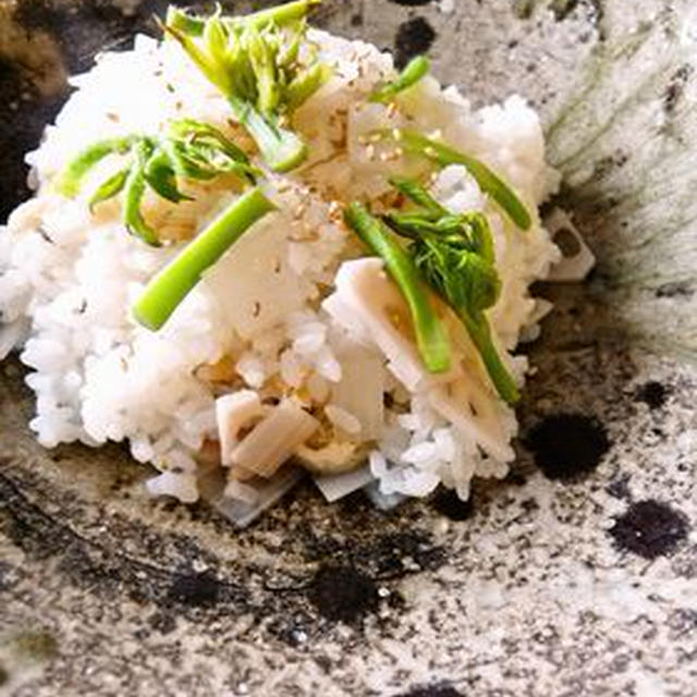 独活と蓮根の混ぜご飯
