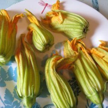 ズッキーニの花