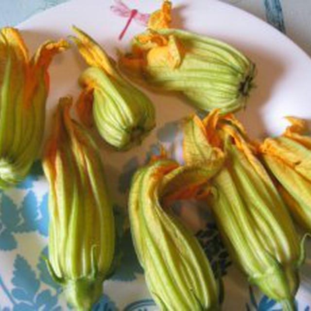 ズッキーニの花