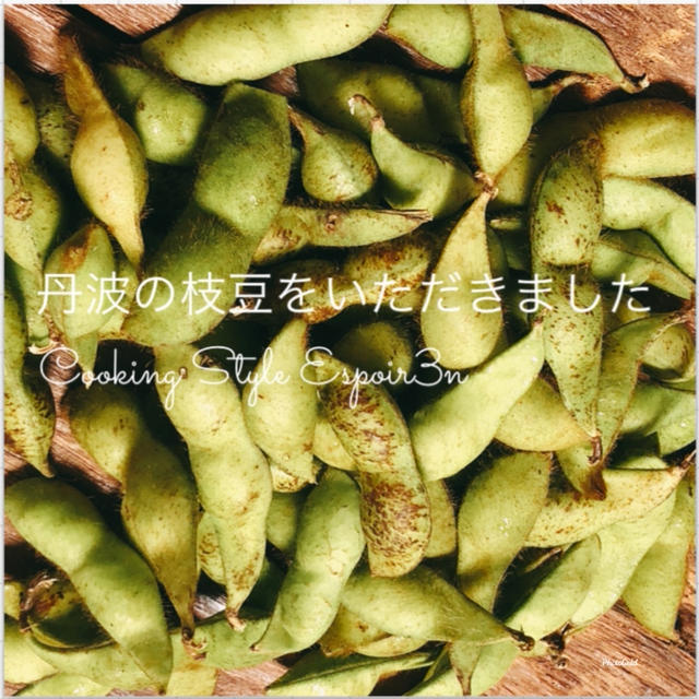 yukakoさんから丹波の枝豆いただきました。