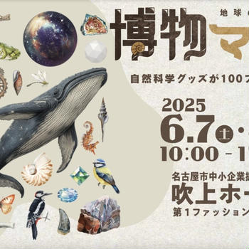 お知らせ / 博物マニア出展のお知らせとお品書き(2025/6/8-9開催)