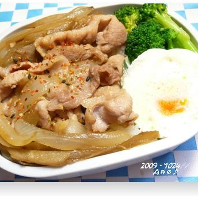 豚牛蒡・・のっけ弁当♪