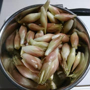 みょうが大量、、、さぁどうする！？
