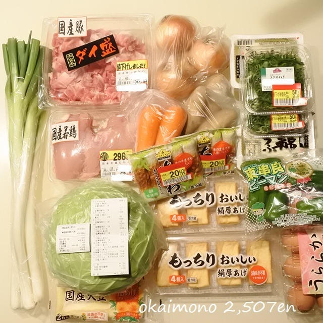 【豚肉＊厚揚げ＊油揚げ＊キャベツ＊人参＊ピーマン＊玉ねぎ】1週間節約お弁当カタログ