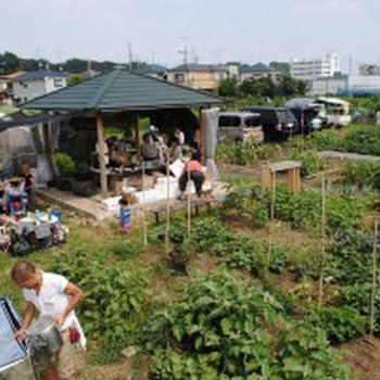 国立の田園風景で畑をはじめませんか？（新年度会員様　募集中！）