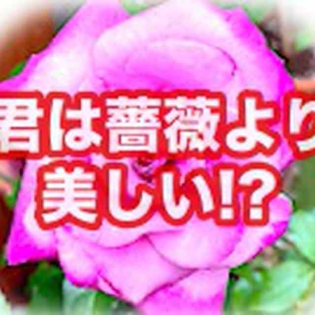 お世辞でも云われたら やっぱり嬉しいものよね〜✨