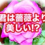 お世辞でも云われたら やっぱり嬉しいものよね〜✨