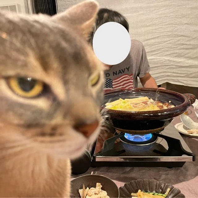 黄身大根おろしで食べる水炊きと鳥ごぼうの炊き込みご飯の夜ごはん とのわか近し…