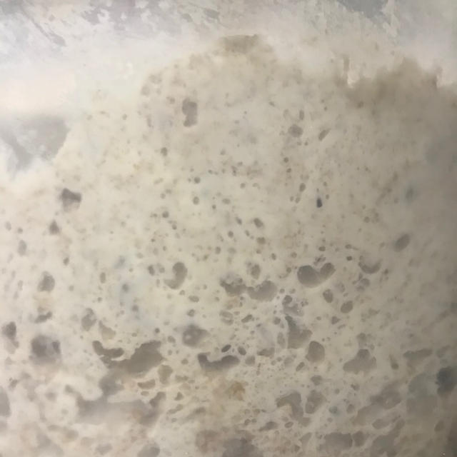 サワー種の様子、そしてレーズンパンを焼く。