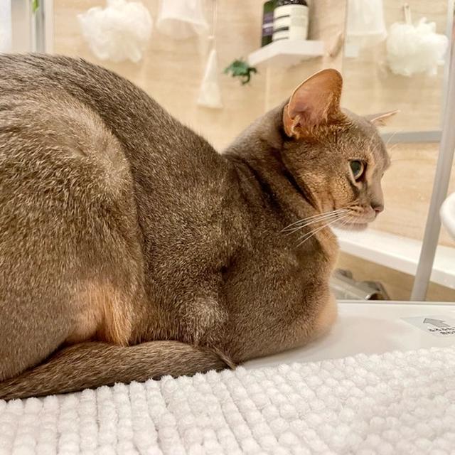 あの場所に行きたいけど…