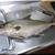 ◆カンパチを捌いたので、お魚パーティ開催です♪