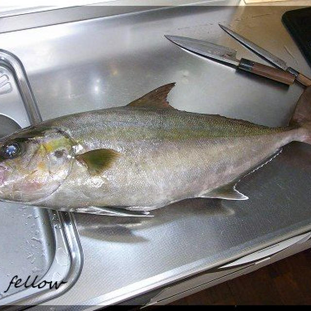 ◆カンパチを捌いたので、お魚パーティ開催です♪