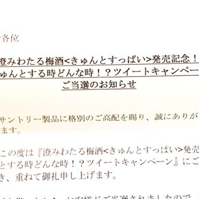 当選　サントリー　澄みわたる梅酒