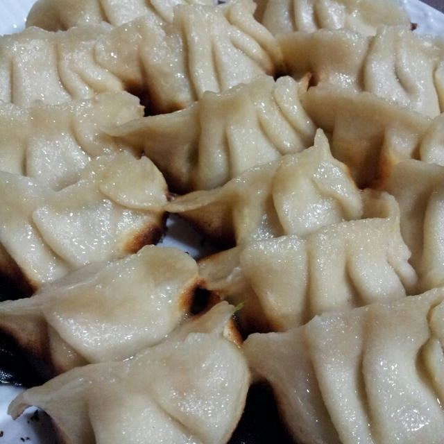 手作り餃子