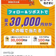 【当選】こいpay『えらべるpay100円分』