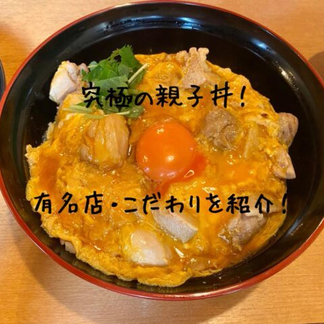 【究極の親子丼を紹介】東京・京都・銀座・横浜【おいしい親子丼とは？】具材・だし・プロの味を解徹底説