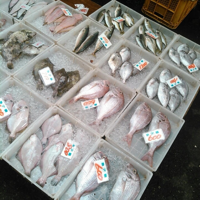 魚広場の朝市へ