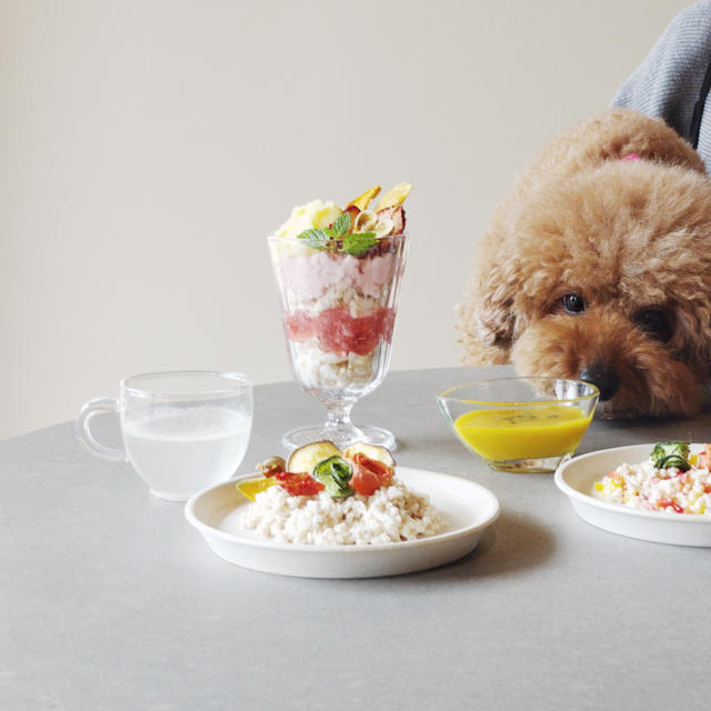 犬OK♡5月オープン田園調布カフェのメニュー試食会と、おすすめスマホカメラ